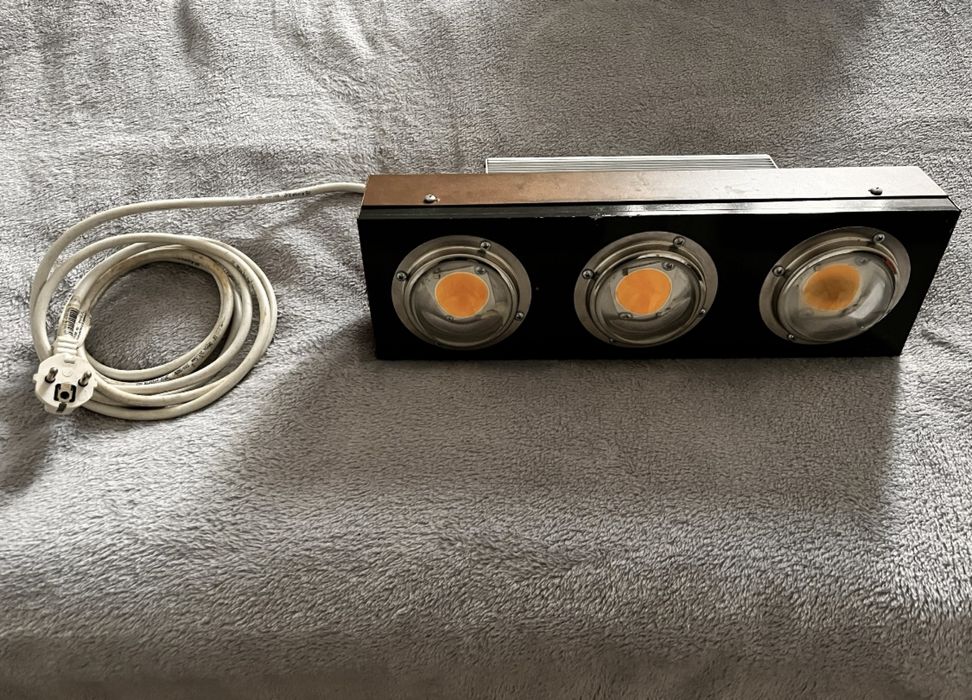 320 LED COB Maroko 3 Green Fox