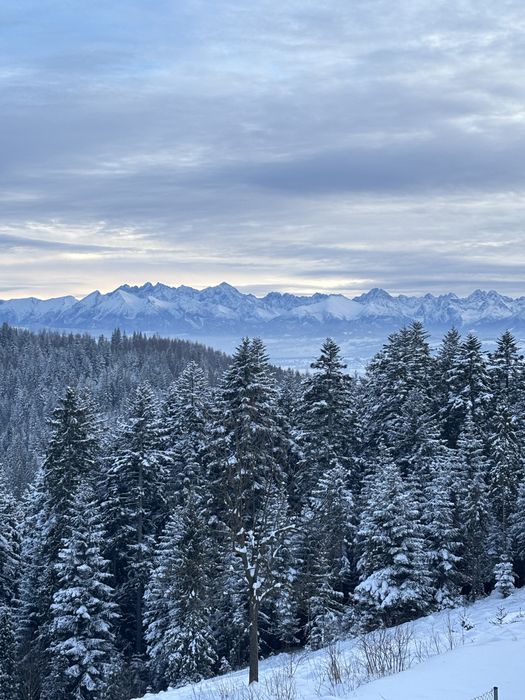 Apartament  Pod Turbaczem Wolne terminy