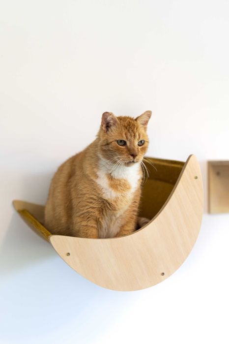 Drewniany leżak dla kota na ścianę, drapak, legowisko