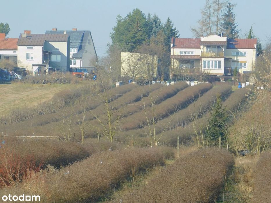 Syndyk sprzeda - Mogielnica, dz. nr 1272, 1304 oraz 1303 - Więcej