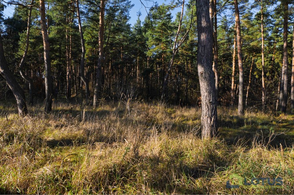 ПРОДАЖА ДОМА 175 м2 в закрытом городке возле леса и озер! С. Забирье