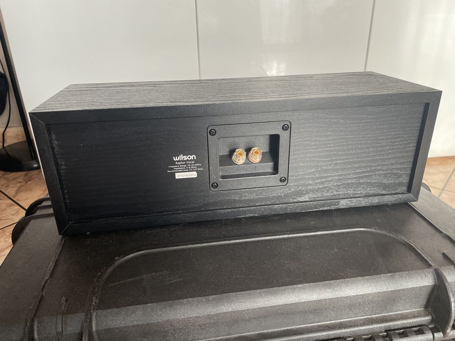 Kolumny Wilson Raptor Poznań Winogrady • OLX.pl