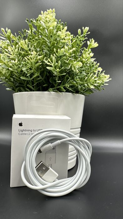 Oryginalny Kabelek Ligthning Usb-A 2M