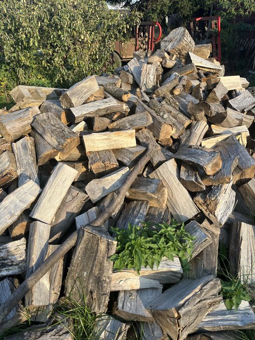 Sprzedam drewno drzewo opałowe – owocowe,lisciaste iglaste