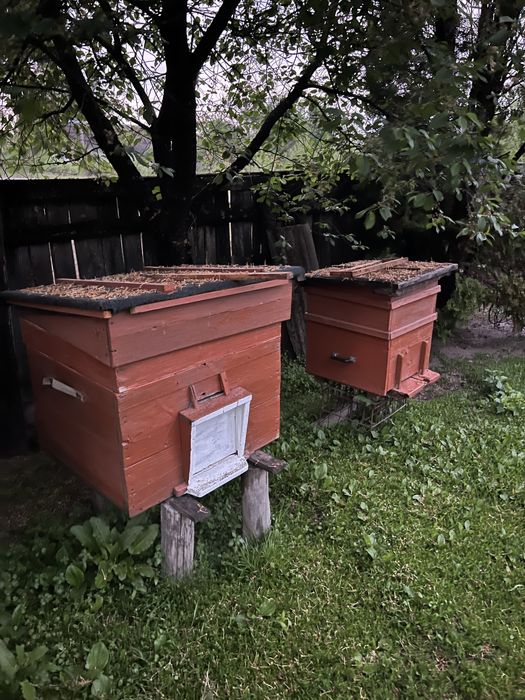 Вулики в продажу