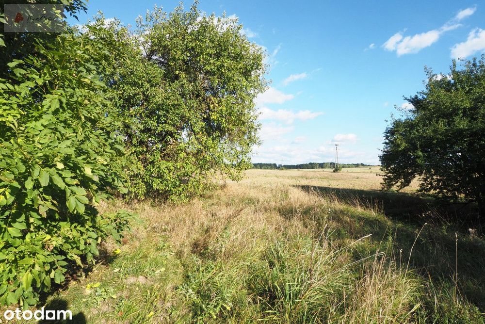 Wojszki - siedlisko na sprzedaż