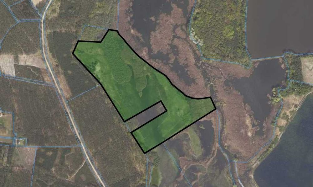 Sprzedaż gruntu/działki rolnej gm. Trzciel