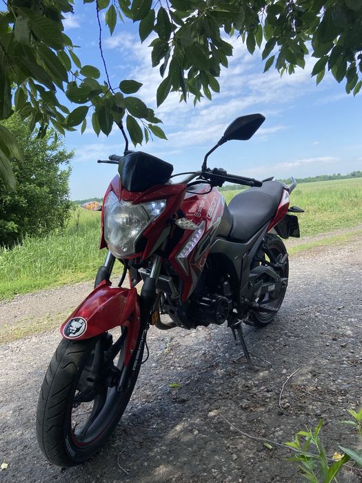 geon cr6 250 2019