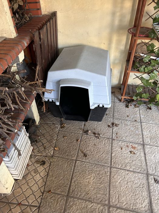Casota para cão (porte médio)