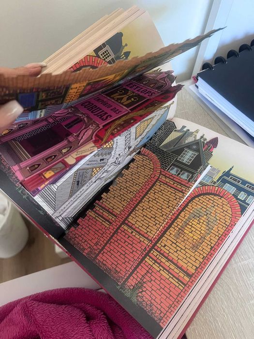 Edição Especial PoP Up: Harry Potter e a Pedra Filosofal 1