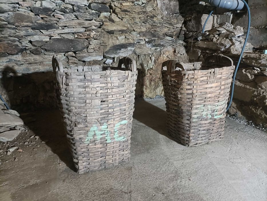 Uma raridade para decoração!!