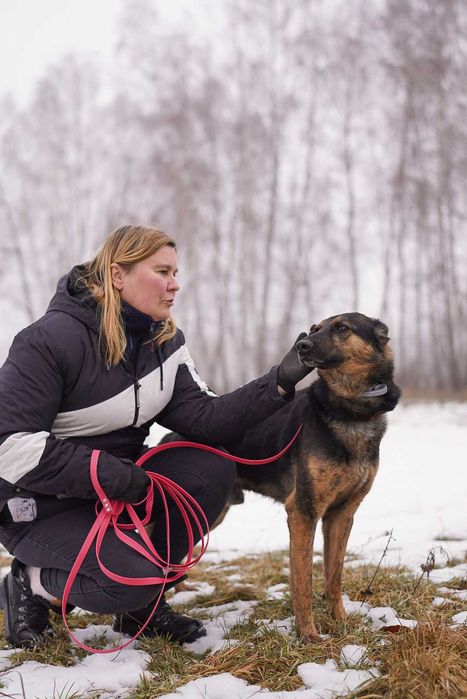 Przemiły Koda w typie owczarka czeka na dom od 5 lat..