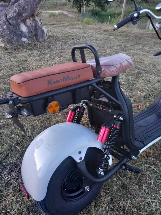 Citycoco - Electrica - Elegante -Ecologica 1500w