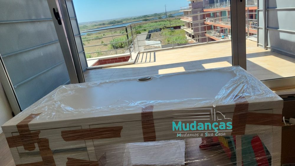 Empresa de Mudanças Profissionais