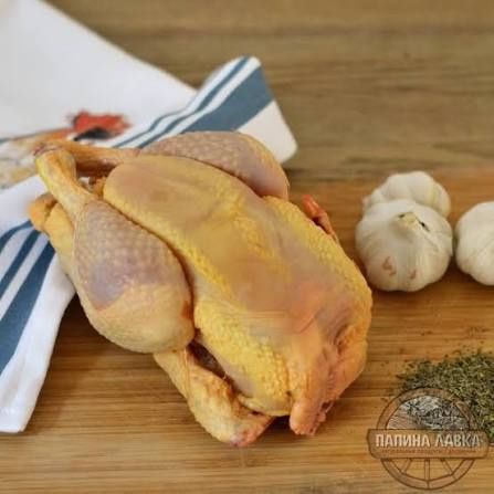 Кури, курчата, цыплята, несушки, квочки
