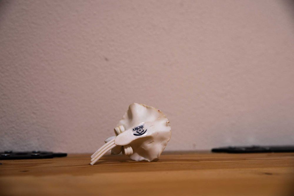 Ceramika PRL-u – Arche, Włocławek, Ćmielów