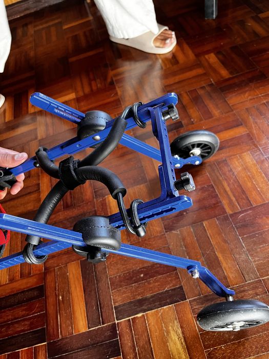 Cadeira de rodas para gato/cão