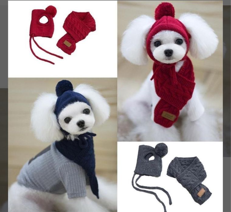 Шапочка і шарфик для собачки