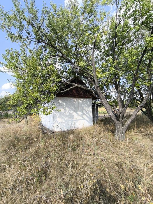 Земельна ділянка (Дача)