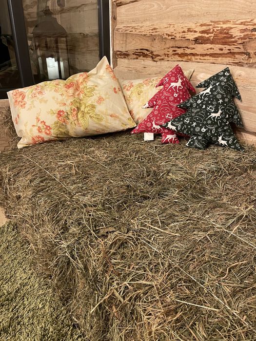 ЧАН БАНЯ ЛАЗНІ на дровах у Східниці