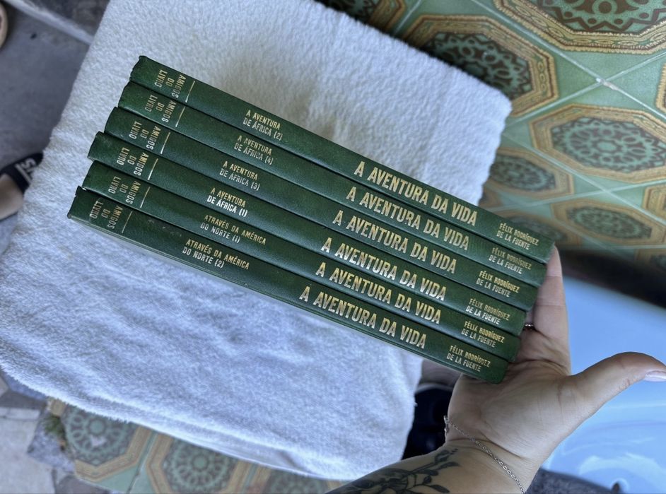 A aventura da vida- Cronicas de viagem