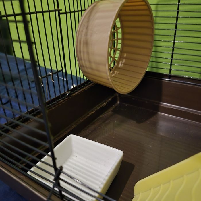 Gaiola e acessórios para hamester