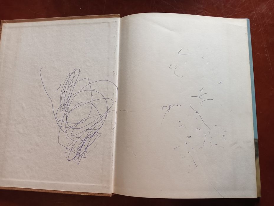 Mamíferos ungulados e lagomorfos; 	Coleção Animais de todo o Mundo*