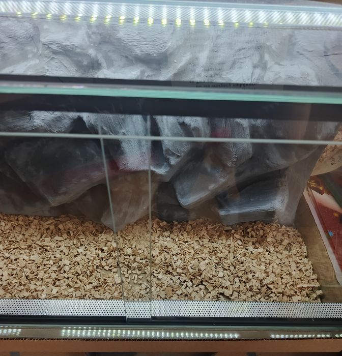 Terrarium nowe ze ścianką