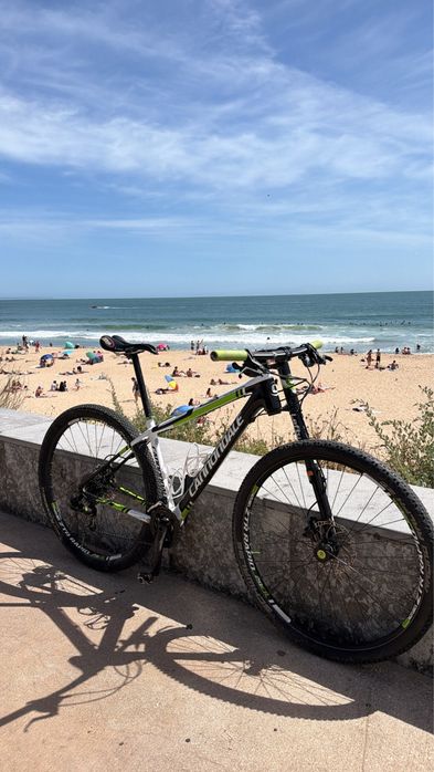 Cannoldale Carbono F29