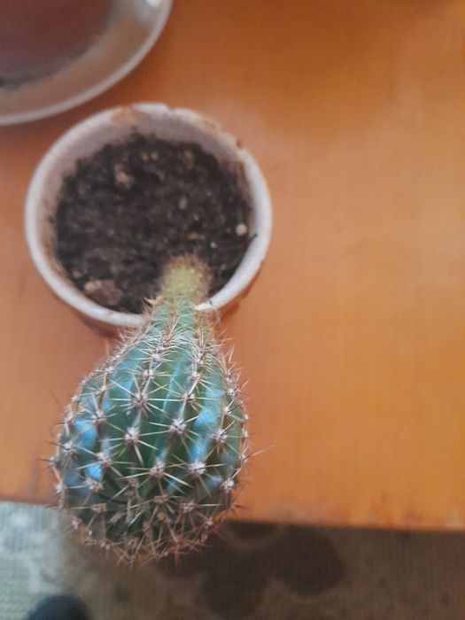 Продаються вазони різні