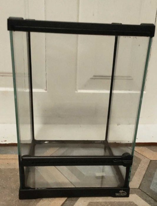Terrarium dla patyczaka