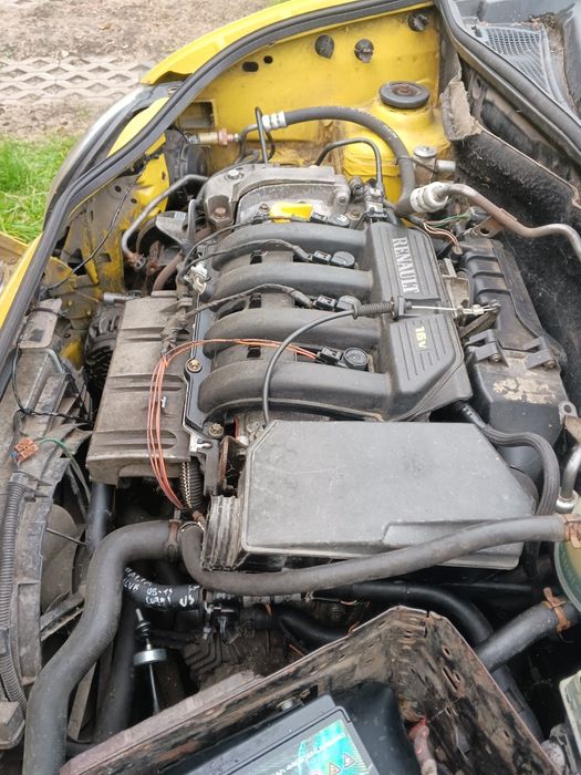 Renault Kangoo  w całości