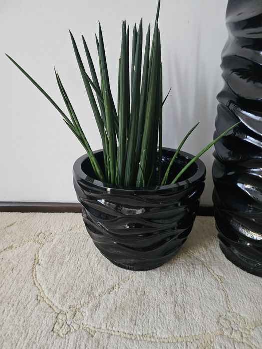 Duze donice pokojowe