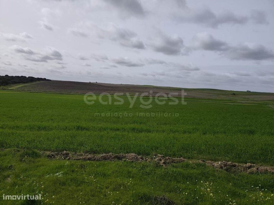 Terreno Rústico com área total de 93.875 m2, localizado na freguesi...