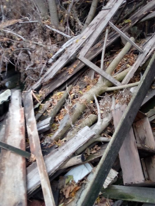 Продам бочки железные 5штук200литров и 1 на100,120 литров