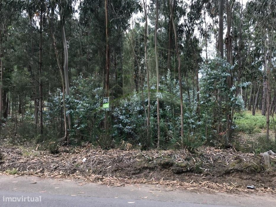 Terreno para Venda em São Pedro da Torre