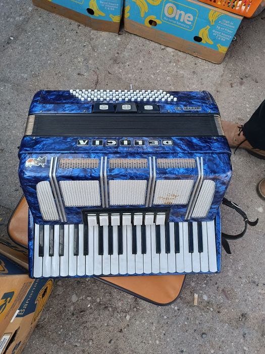 akordeon Carment Delicia XIV
