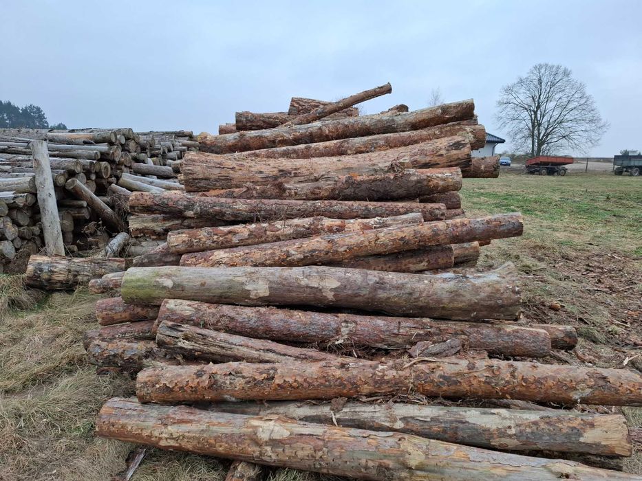 drewno opałowe wałki sosna