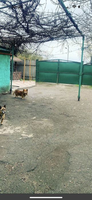 ‼️20 т у.е‼️Продам!Дом в Пересечном