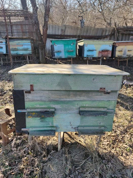 Вулики на 20 рамок