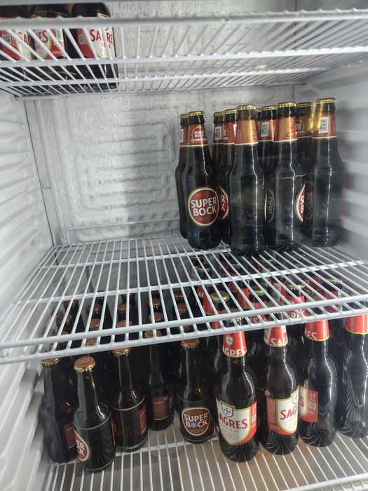 Freezer vertical