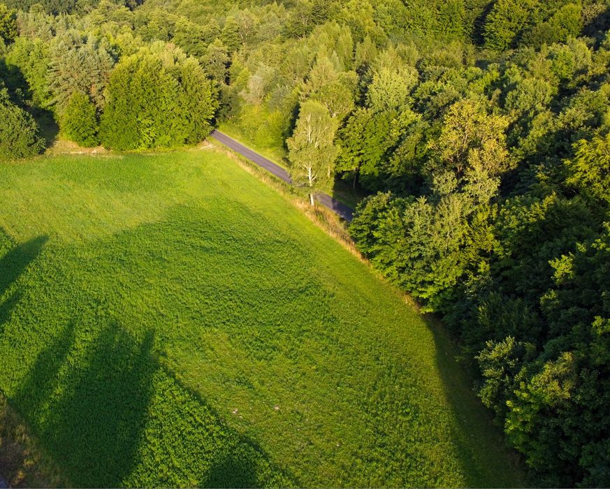 Działka siedliskowa 1,78 ha Goraj Zamek tylko 78.6zł/m2 z pozwoleniem na budowę