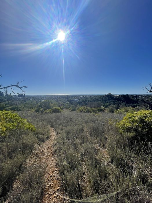 Terreno Rustico Boliqueime