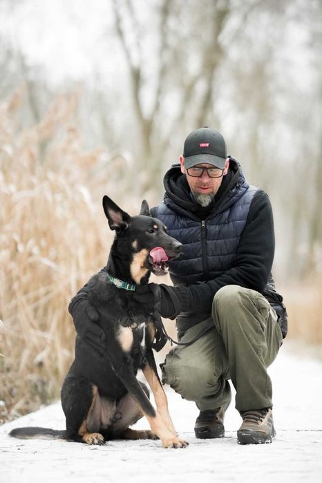 Frodo cudny psiak szuka domu