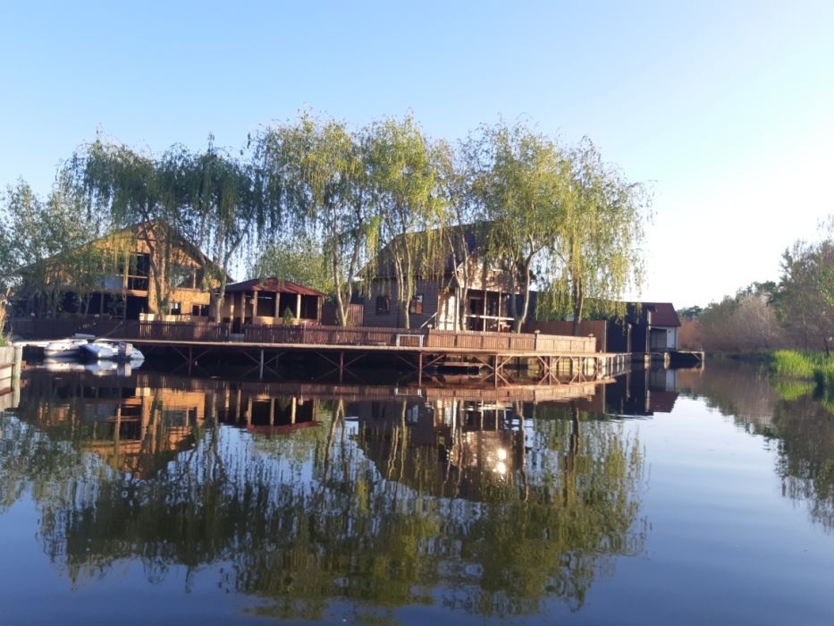 Аренда дома в Маяках Баня Рыбалка