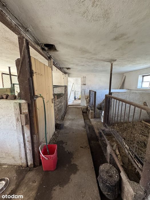 Działka z WZ na nowy dom jednorodzinny + budynek 200m2 -do negocjacji