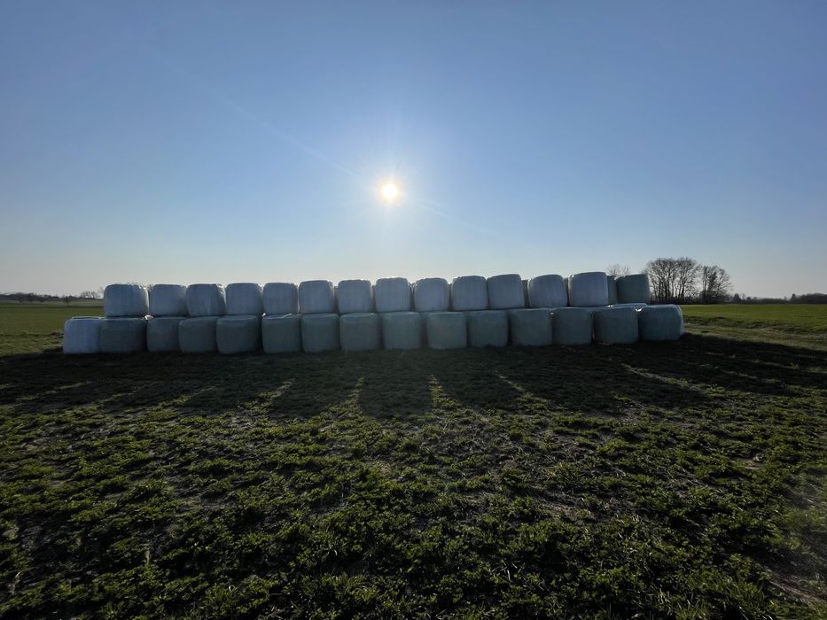 Sianokiszonka lucerna bele 120