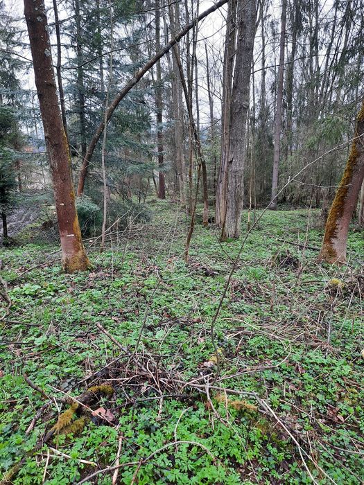 Sprzedam działkę w Białce Tatrzańskiej za wodą 1722m²