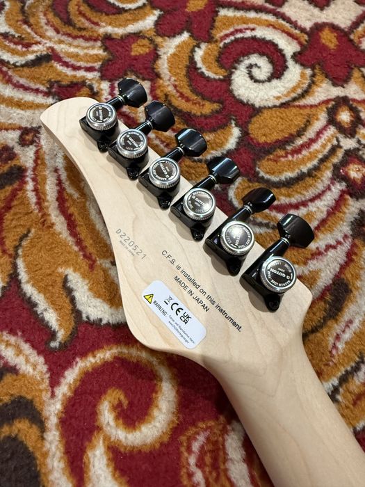 FGN Iliad Dark JIL2-ASH-DE664-R | Telecaster Baryton Fishman Modern