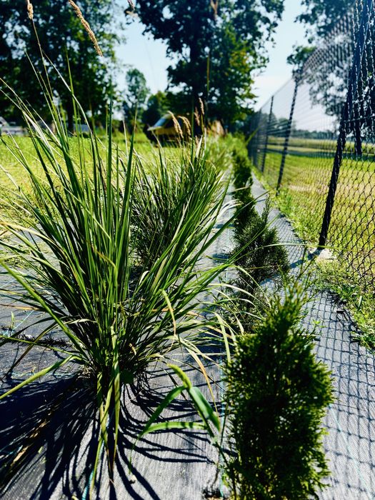 Działka jezioro Piaseczno